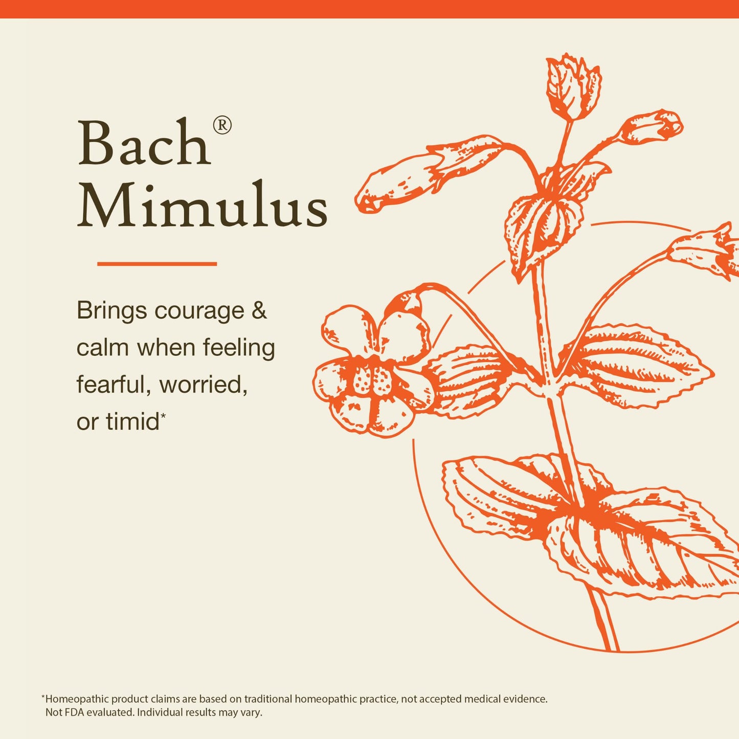 Bach Mimulus Flower Remedy – Face Your Fears | Emotional Balance | 20mL Dropper