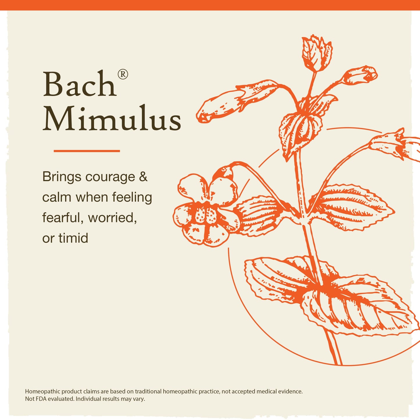 Bach Mimulus - Face Your Fears - 20mL Dropper | Original Flower Remedies