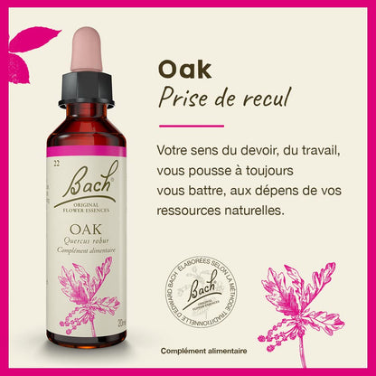 Bach Original Flower Remedies Oak - Restore Endurance | 20mL Dropper | Vegan, Gluten Free, Sugar Free
