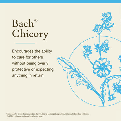 Bach Original Flower Remedies Chicory – Love Unconditionally (20mL) – Vegan & Gluten Free