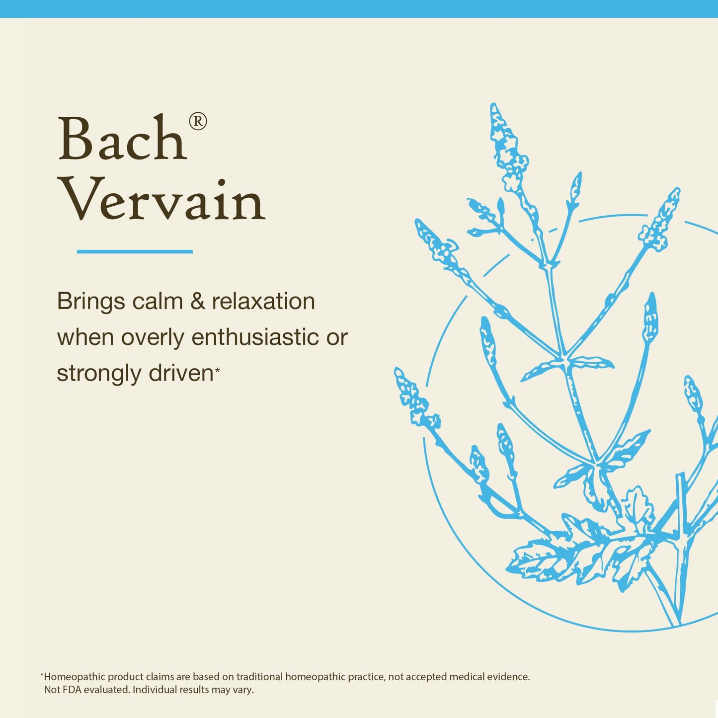 Bach Original Flower Remedies Vervain – Relax & Calm (20mL Dropper)
