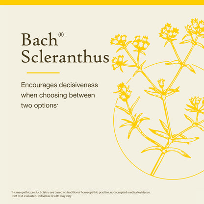 Bach Scleranthus Be Decisive – Original Flower Remedy – 20mL Dropper