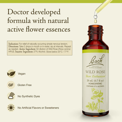 Bach Original Flower Remedies Wild Rose – Show Enthusiasm – 20mL Dropper