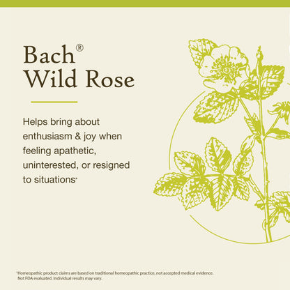 Bach Original Flower Remedies Wild Rose – Show Enthusiasm – 20mL Dropper