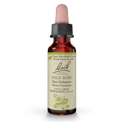 Bach Original Flower Remedies: Wild Rose (Non-Alcohol) – Enthusiasm & Emotional Balance | Vegan, Gluten Free, Sugar Free | 10mL