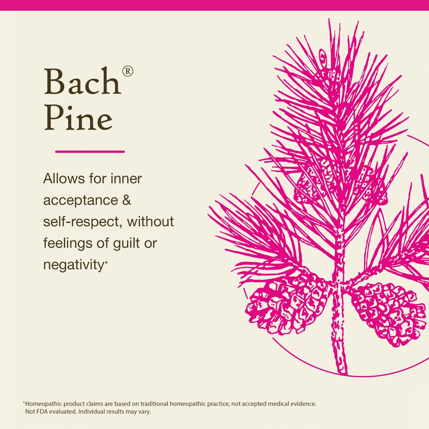 Bach Pine Flower Remedy – Have Self-Respect | Emotional Balance 20mL
