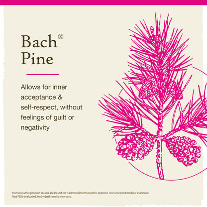 Bach Pine Flower Remedy – Have Self-Respect | 20mL Dropper