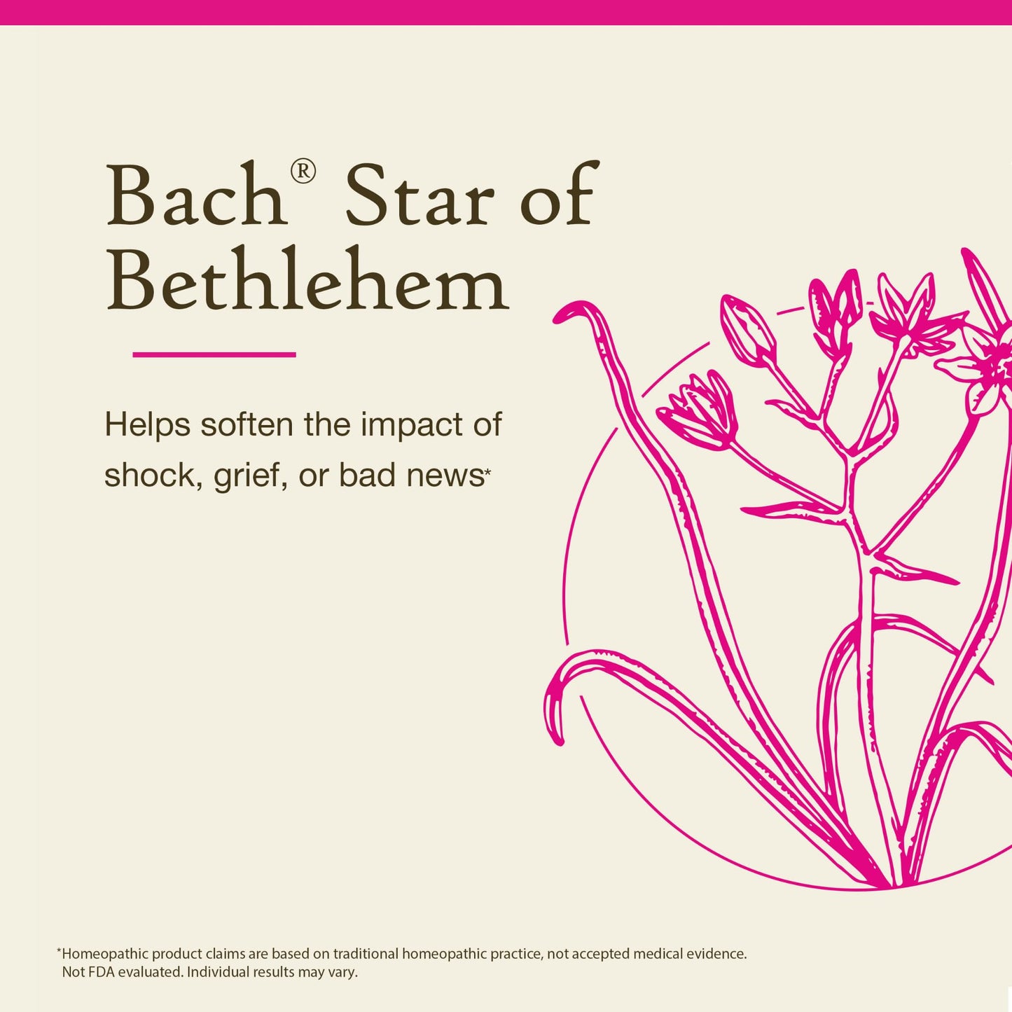 Bach Original Flower Remedies: Star of Bethlehem - Neutralize Grief - 20mL Dropper
