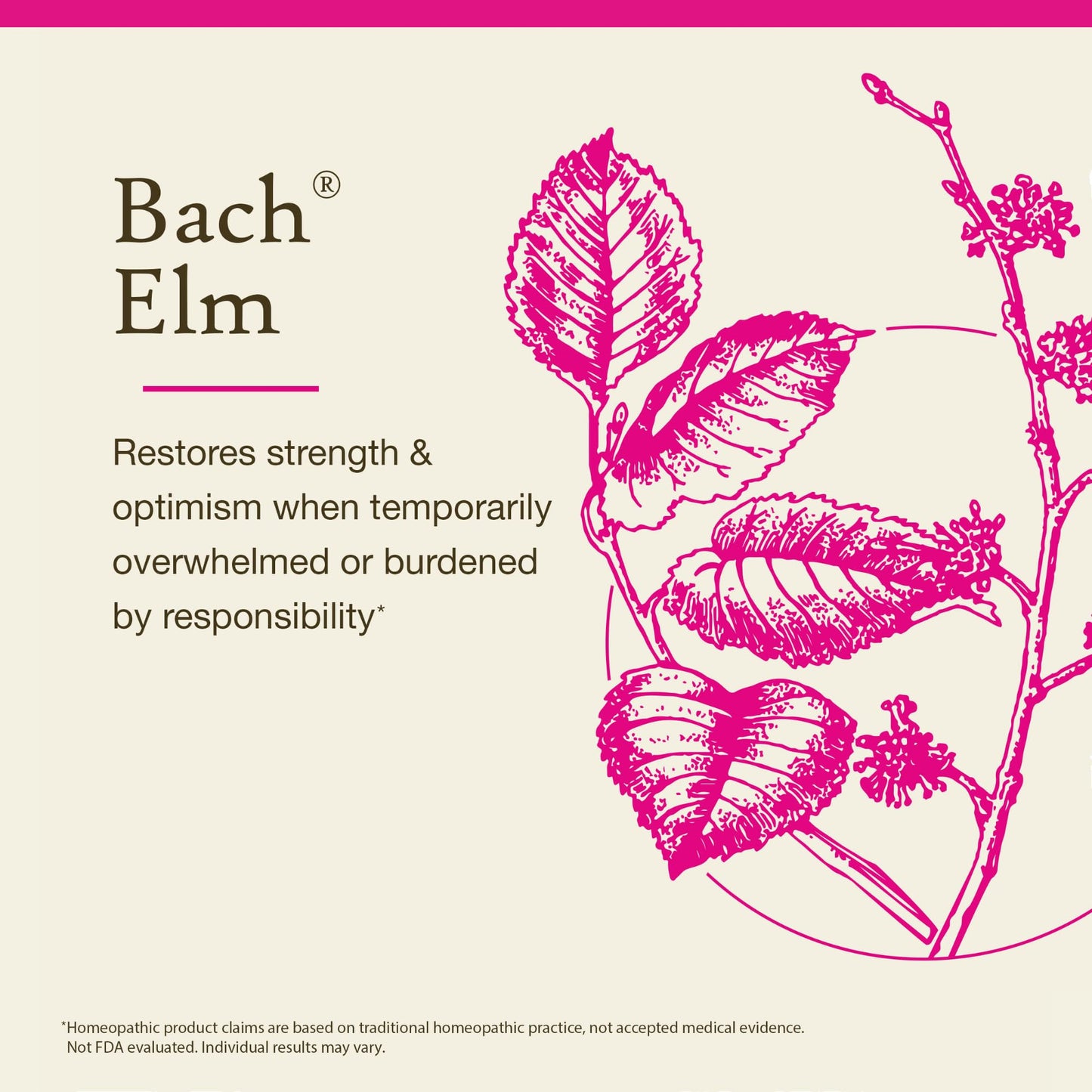 Elm - Be Efficient | Bach Original Flower Remedies for Emotional Balance (20mL Dropper)