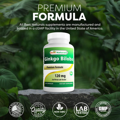 Best Naturals Ginkgo Biloba 120 mg 120 Capsules