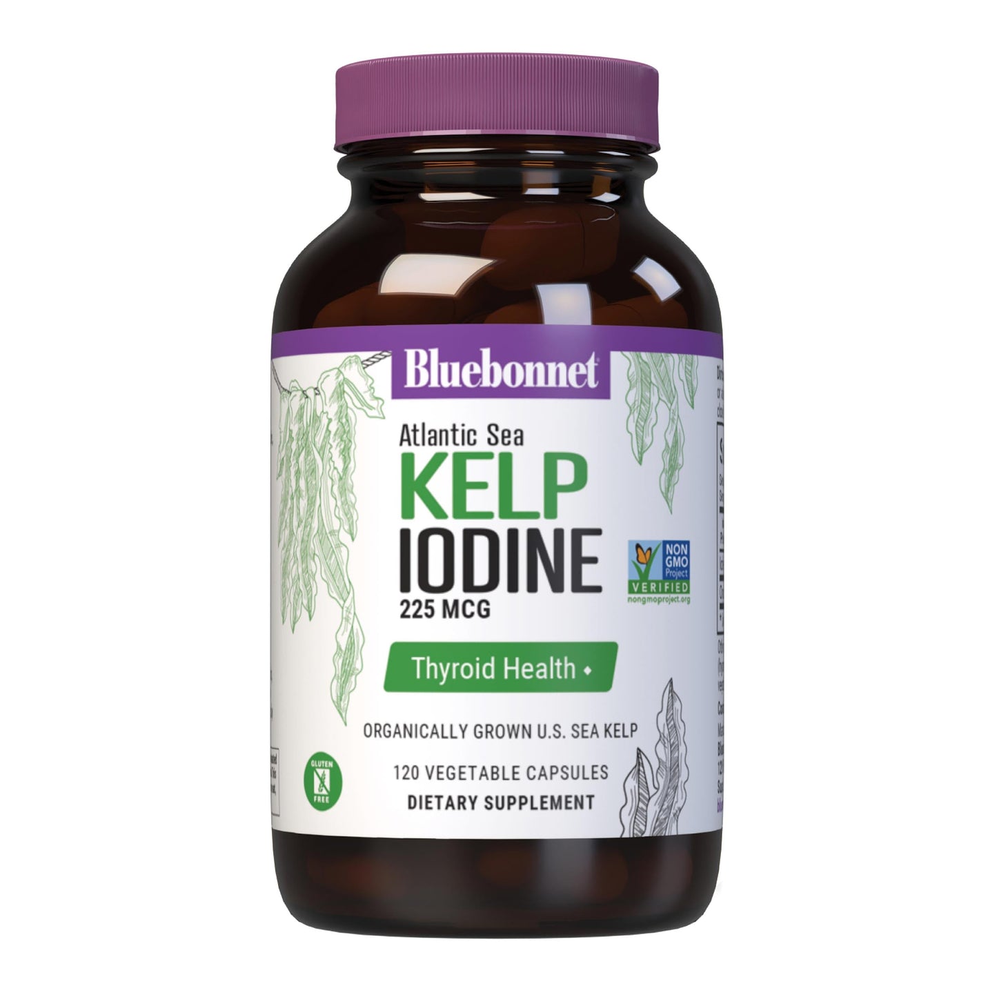 Bluebonnet Atlantic Sea Kelp Iodine 225 mcg – Organic U.S. Sea Kelp, Non-GMO, Gluten-Free, 120 Veg Capsules
