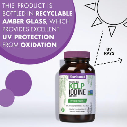 Bluebonnet Atlantic Sea Kelp Iodine 225 mcg – Organic U.S. Sea Kelp, Non-GMO, Gluten-Free, 120 Veg Capsules