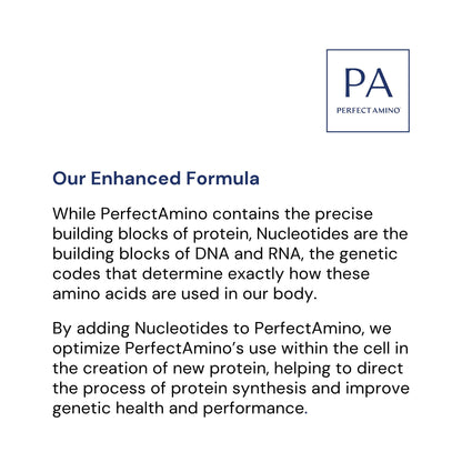 BodyHealth PerfectAmino Powder – BCAA & EAA for Pre & Post Workout | Mixed Berry, 120 Servings