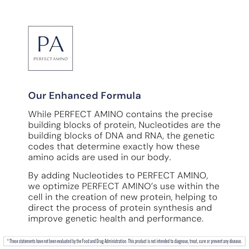 BodyHealth PerfectAmino Powder – NSF Certified BCAA & EAA for Pre & Post Workout | Vanilla, 66 Servings