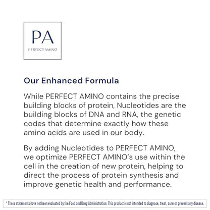 BodyHealth PerfectAmino Powder – NSF Certified BCAA & EAA for Pre & Post Workout | Vanilla, 66 Servings
