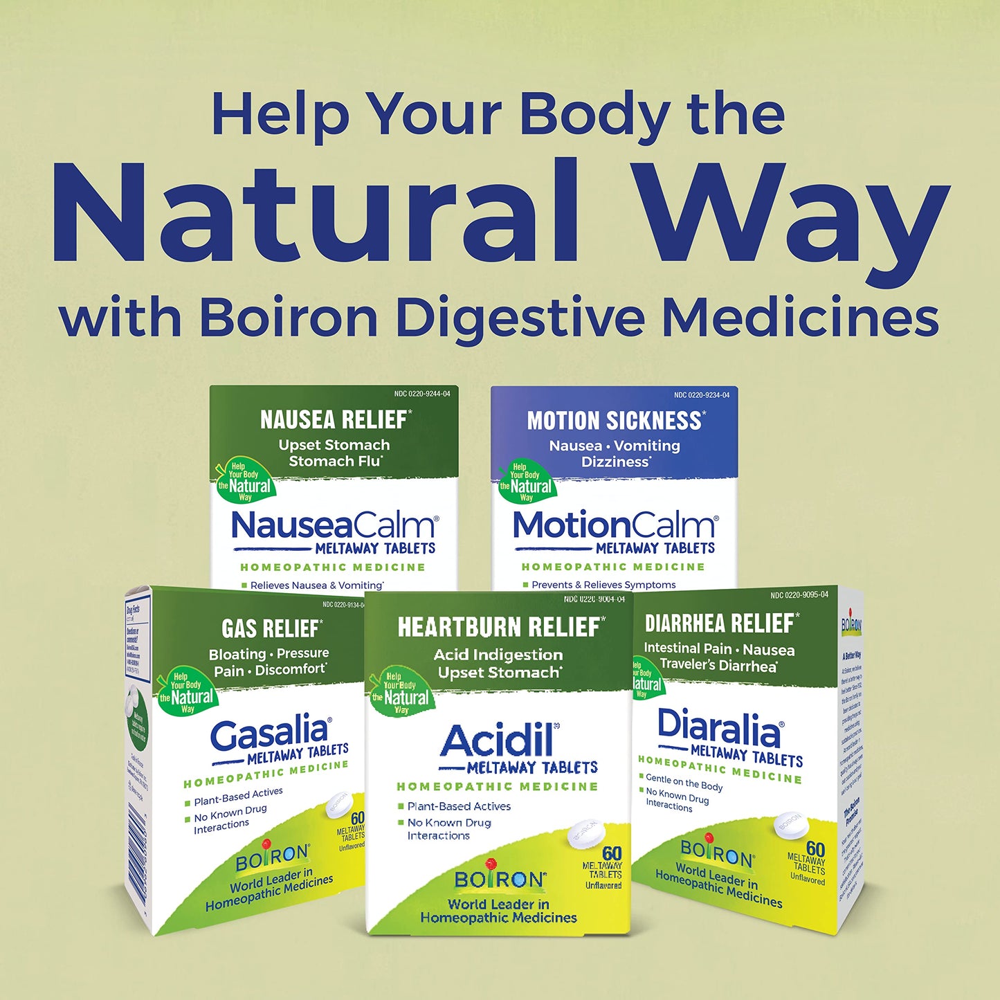 Boiron Acidil Meltaway Tablets – Quick, Water-Free Heartburn Relief (120 Count, 2-Pack)