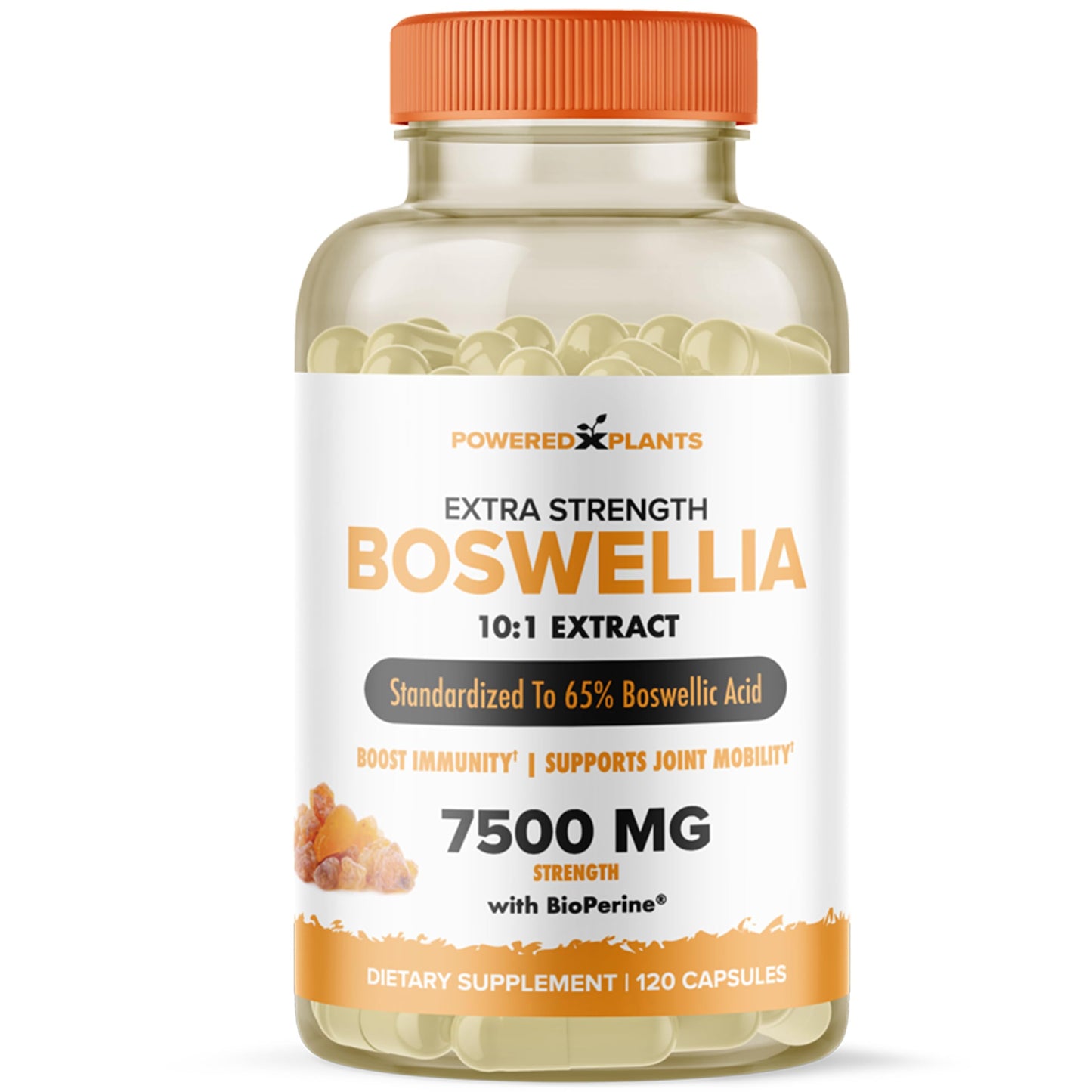 Boswellia Serrata Extract Joint Support – Powered by Plants | 65% Boswellic Acids + BioPerine | 120 Vegan Capsules