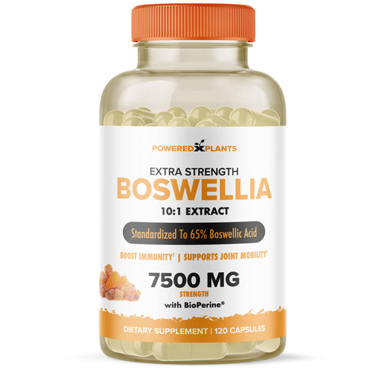 Boswellia Serrata Extract Joint Support – Powered by Plants | 65% Boswellic Acids + BioPerine | 120 Vegan Capsules