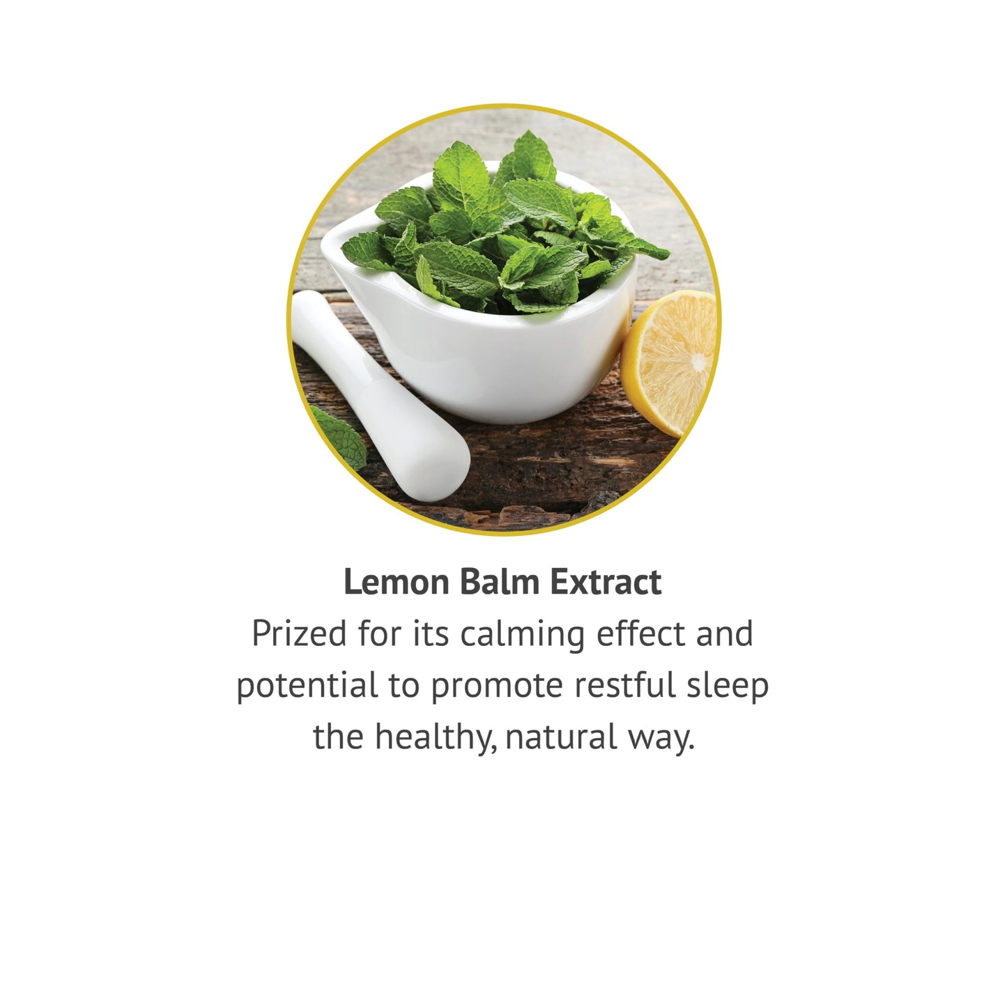 Botanic Choice Lemon Balm Liquid Extract - Alcohol Free & Gluten Free | 1 oz