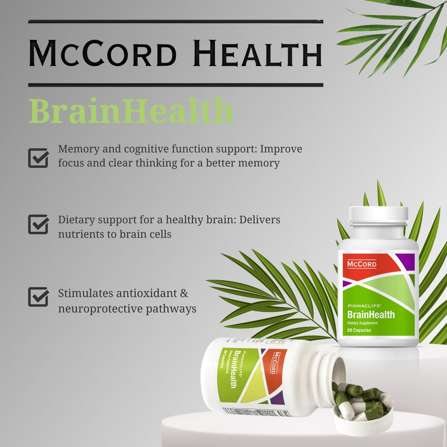 BrainHealth Brain Supplement – Boost Memory, Focus & Clarity (Olivamine, D3, B6, B12)