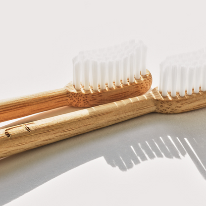 A year's supply of Truthbrush - Soft Castor Oil Bristles