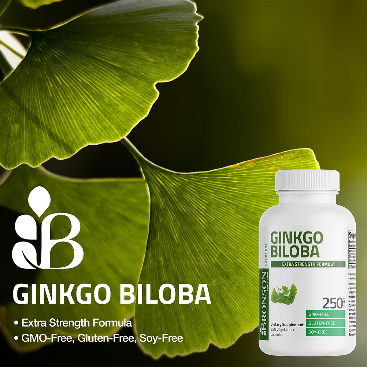 Bronson Ginkgo Biloba Extra Strength - Brain Function & Memory Support, 120 Vegetarian Capsules
