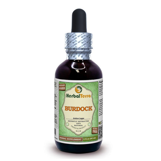 Herbal Terra Burdock Glycerite 2 oz - Organic Dried Root, Alcohol-Free