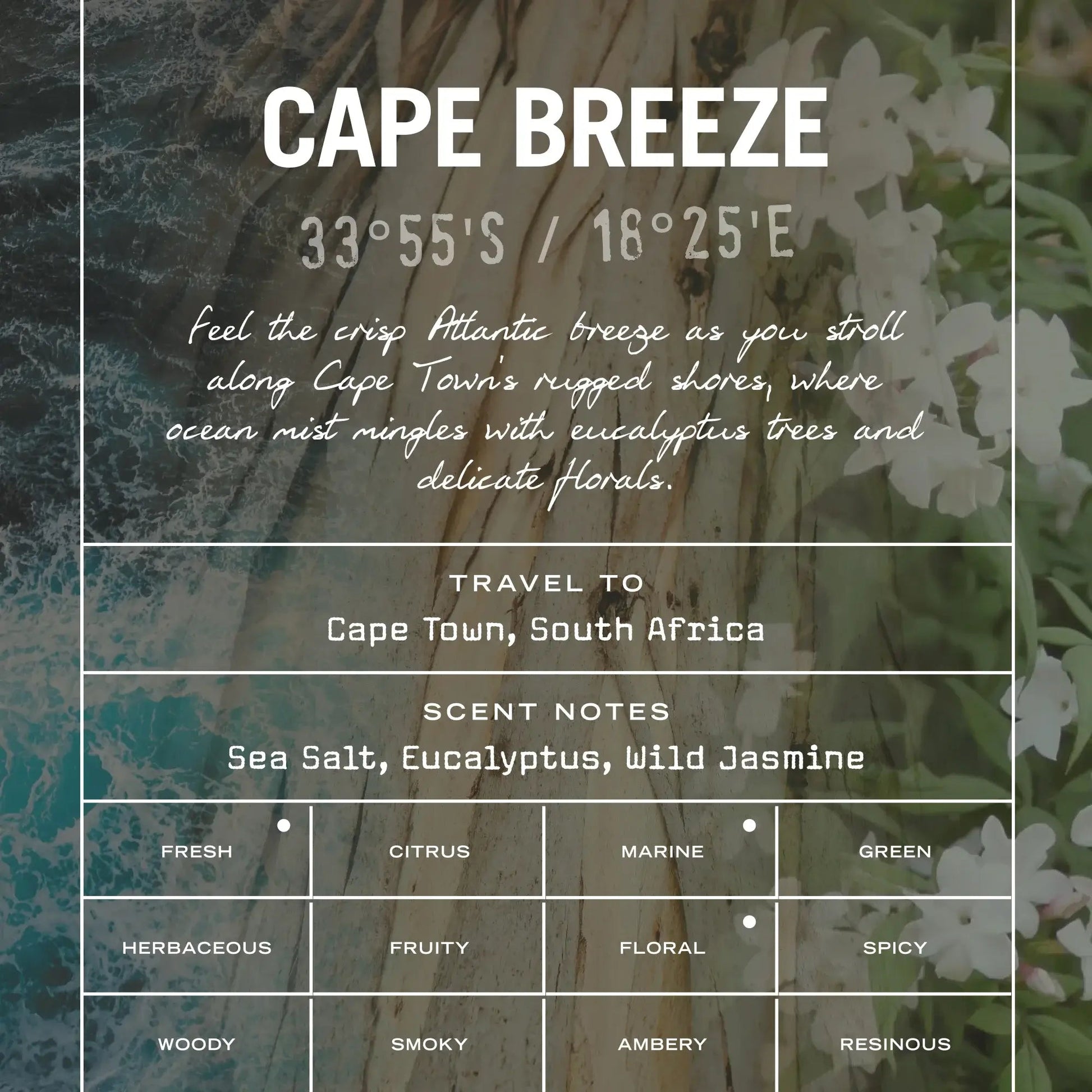 Cape Breeze Reed Diffuser - HealVia LimitedHealVia LimitedCape Breeze Reed Diffuser
