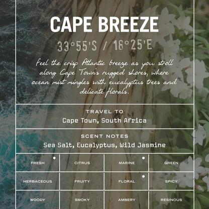 Cape Breeze Reed Diffuser - HealVia LimitedHealVia LimitedCape Breeze Reed Diffuser