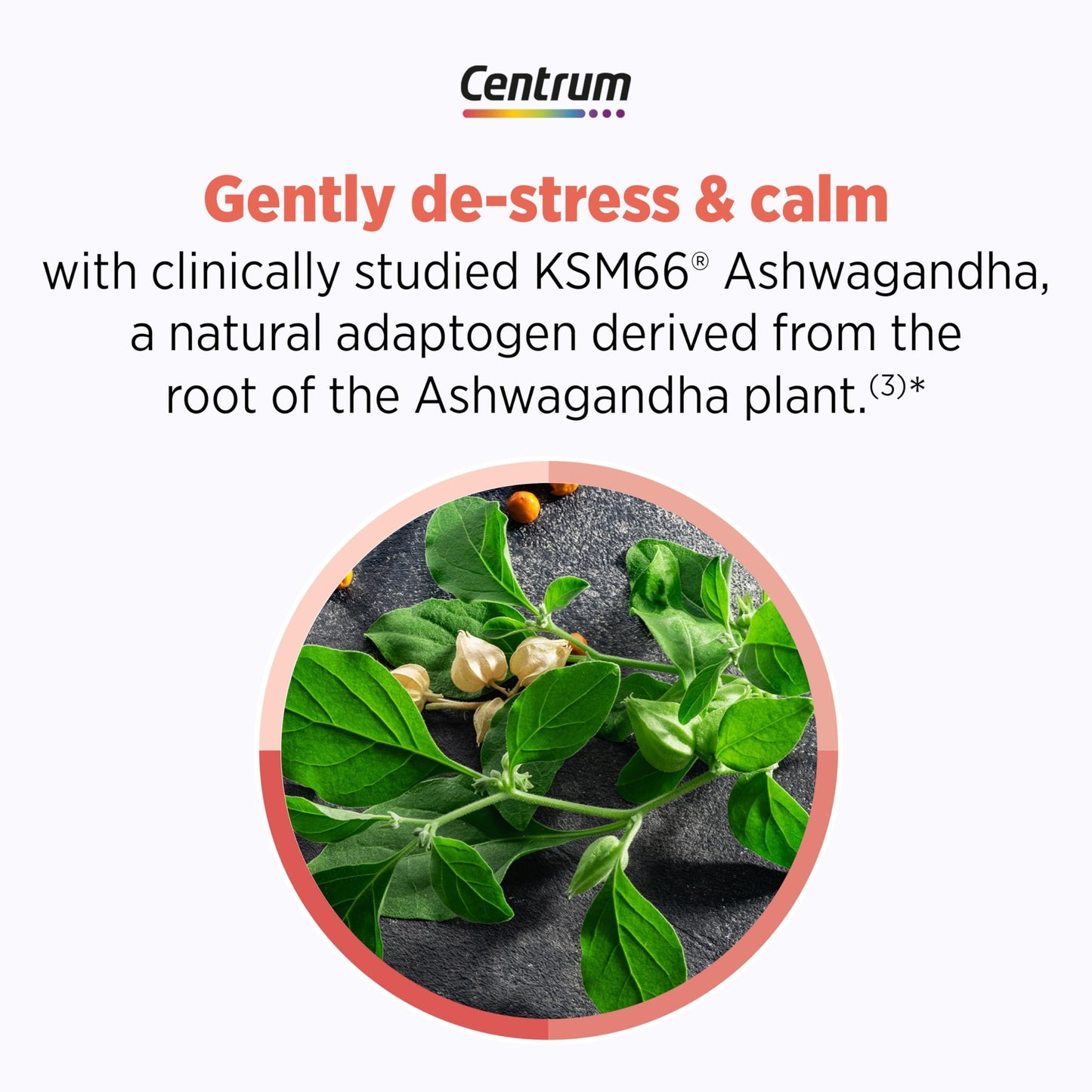 Centrum Clear Mind & Calm Mood Menopause Support Tablets – EnXtra & KSM-66, 30 Count