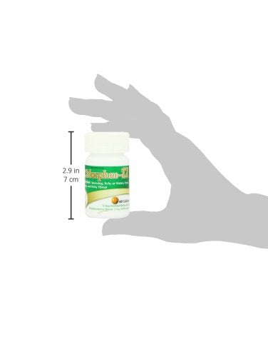 Chlorpheniramine Maleate Extended Release 12 mg - Chlor-Trimeton | 60 Tablets