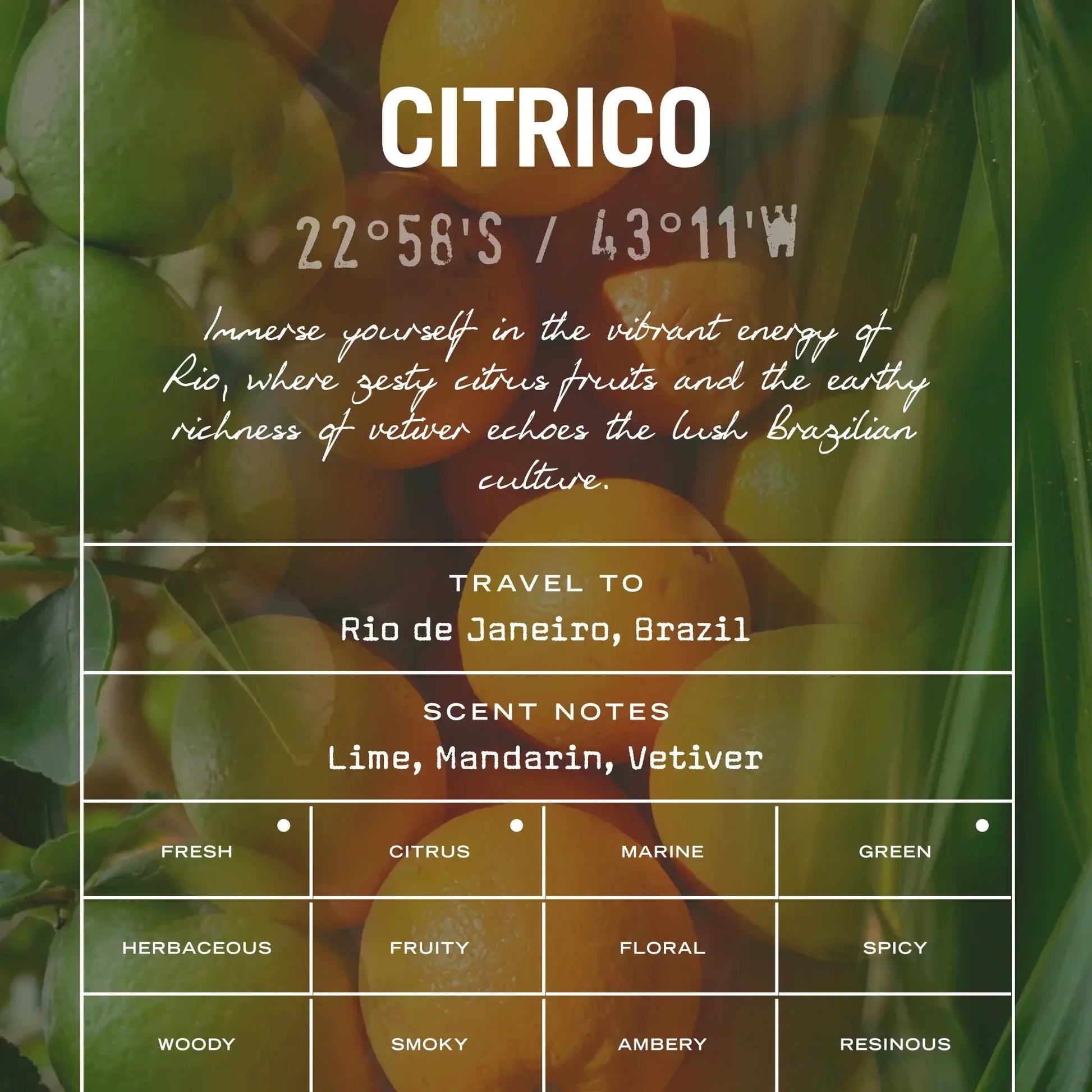 Citrico Scented Candle Refill - HealVia LimitedHealVia LimitedCitrico Scented Candle Refill