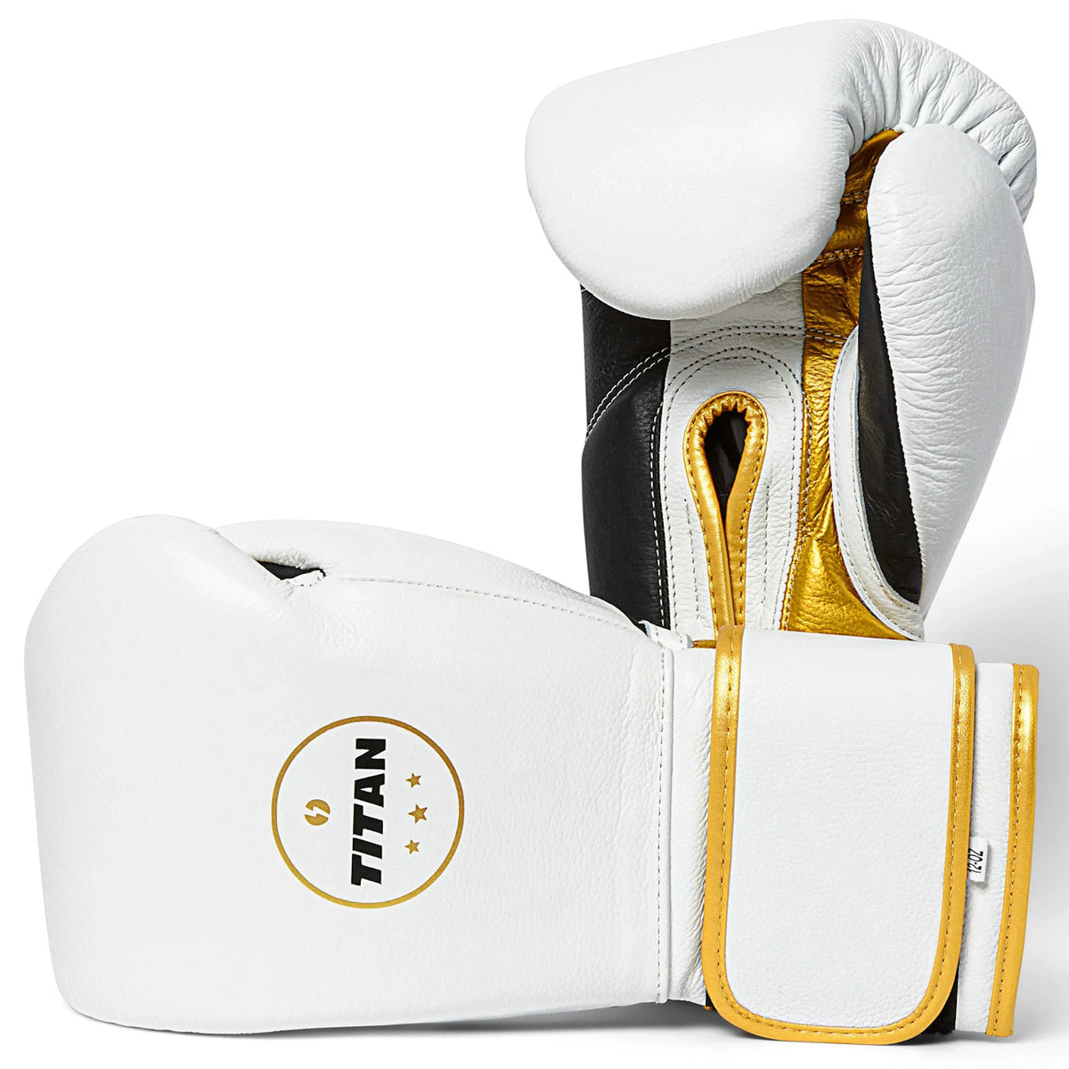 Velocity 3.0 Velcro Boxing Gloves – Polar White