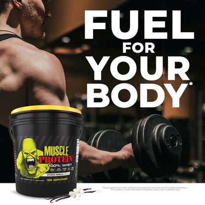 COLOSSAL LABS Muscle Whey Protein Powder – Cookies & Cream, 25,000mg Amino Acids/Serving, Cold-Filtered, 12 lb