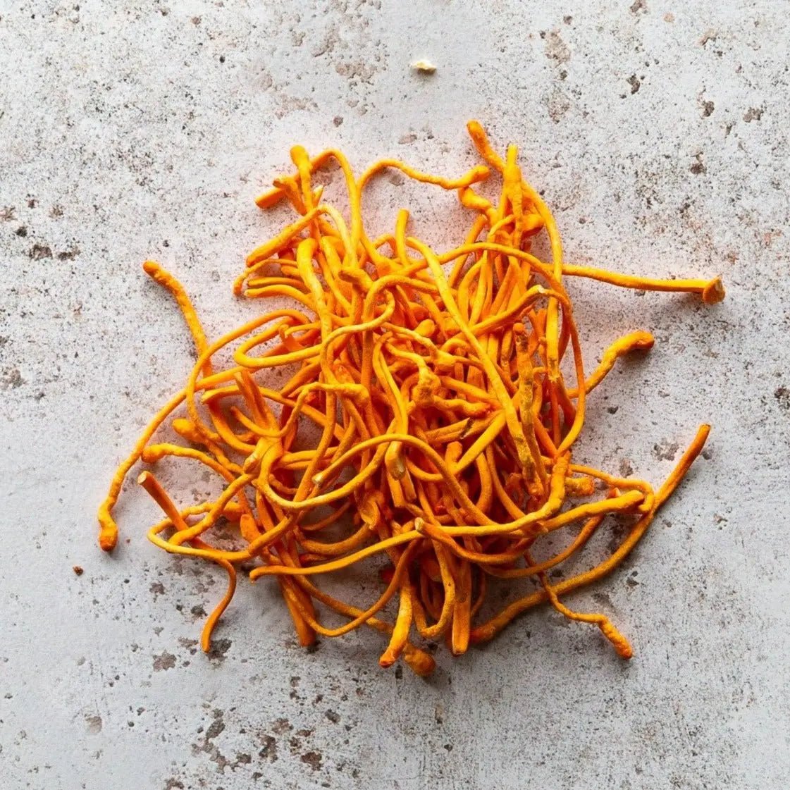 Cordyceps Capsules - HealVia LimitedHealVia LimitedCordyceps Capsules