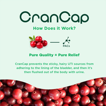 CranCap Cranberry Pills – 90 Count, 36 mg PACs, UTI Support, Vegan & Non-GMO