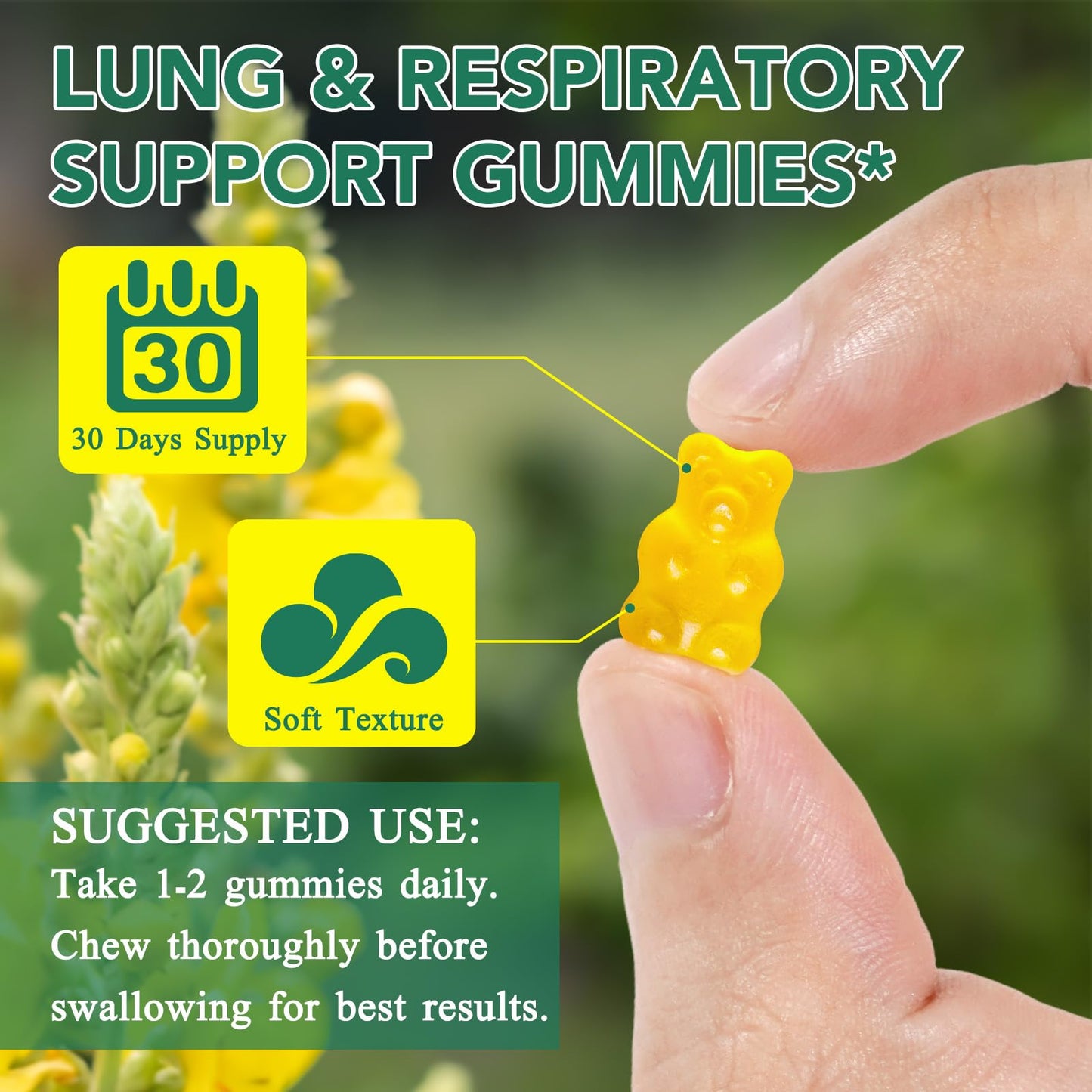 Mullein Gummies - Mullein Leaf Extract for Lungs, 2000mg Mullein Gummies for Lungs Detox, Respiratory Digestive Immune Support, 60 Count