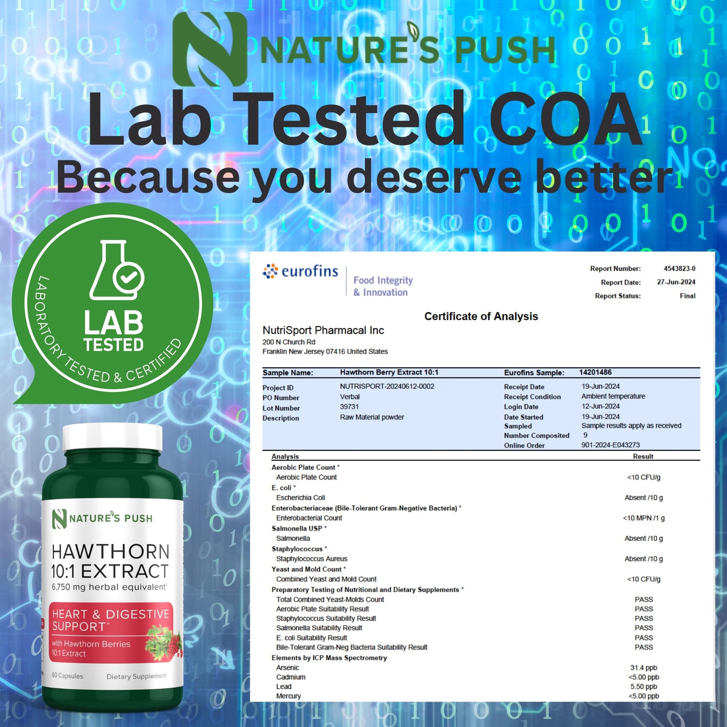 Super Potent Hawthorn Berry 10:1 Extract Capsules – Heart Health, Digestion & Glycemic Support | Non-GMO, Gluten Free, Vegan • USA (60 Count)