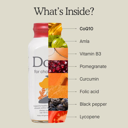 DOSE for Cholesterol – 3-Pack, 16oz Glass Bottles, Sugar-Free, Gluten-Free, Vegan