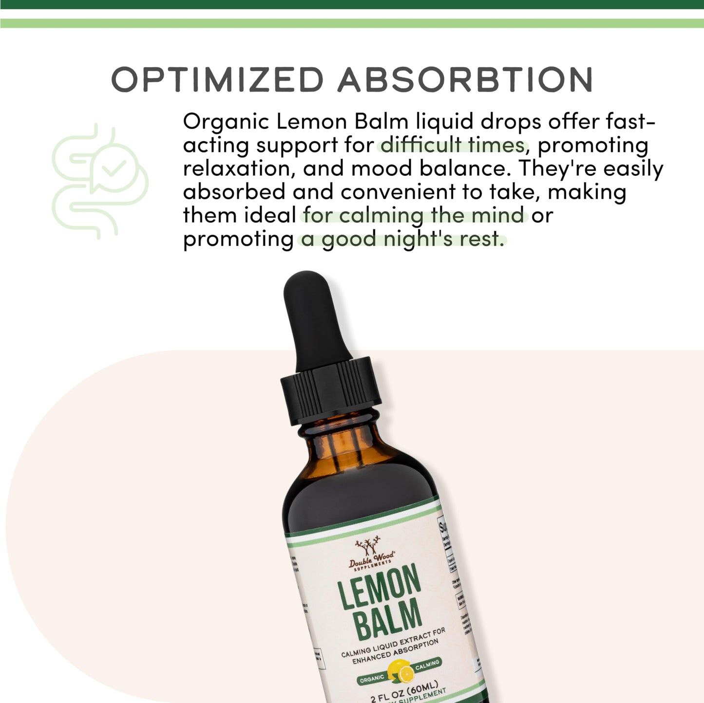 Organic Lemon Balm Tincture 590mg – Digestion & Relaxation, 2 oz | 120 Servings