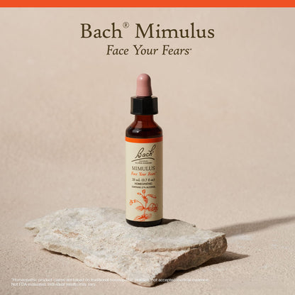 Bach Mimulus – Face Your Fears (20mL Dropper) | Original Flower Remedies