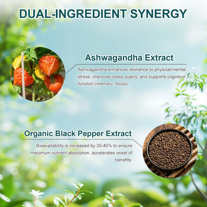 DR.YES Ashwagandha Capsules 500mg with Organic Black Pepper – Stress Relief, Sleep, Focus & Mood | Non-GMO, Vegan, 90 Capsules