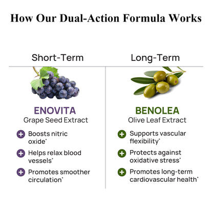 Durable Blood Pressure - Benolea Olive Leaf & Enovita Grape Seed Extract - Doctor Formulated, Vegan, Non-GMO, Made in USA (180 Capsules)
