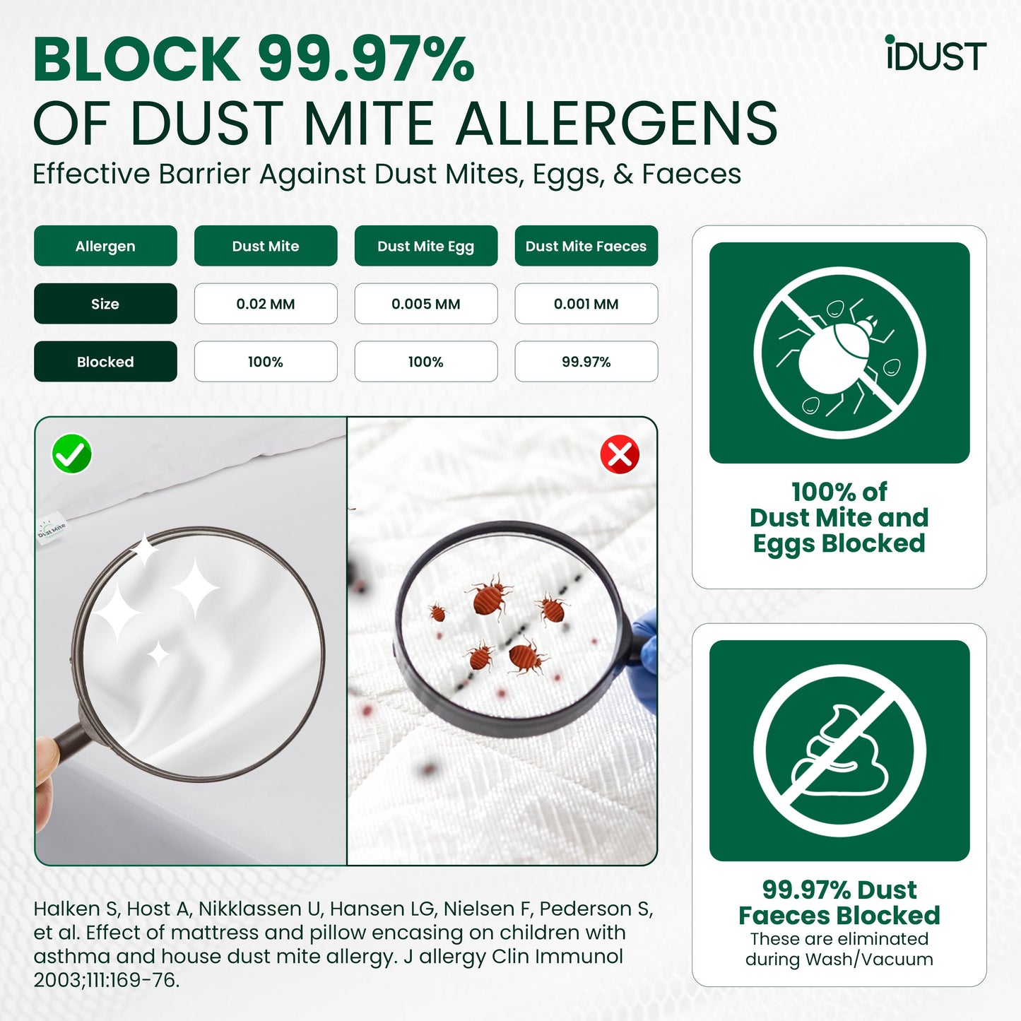 Anti Dust Mite Mattress Protector – Best Allergy Relief for Beds