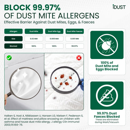 Anti Dust Mite Mattress Protector – Best Allergy Relief for Beds
