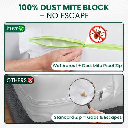 Anti Dust Mite Mattress Protector – Best Allergy Relief for Beds