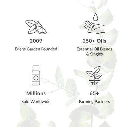 Edens Garden Magnolia Essential Oil – 100% Pure, Premium Grade, 30 ml