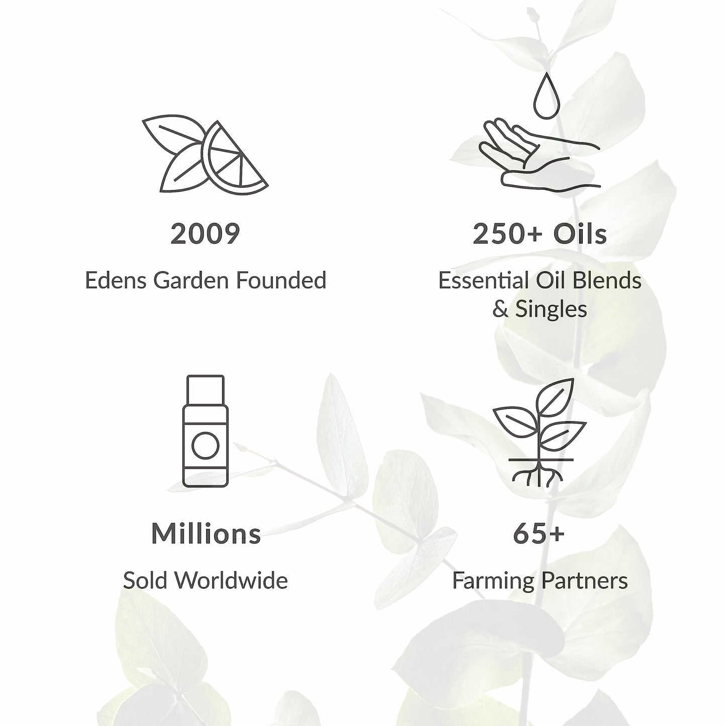 Edens Garden Rose-Otto Essential Oil – 100% Pure, Premium Grade, 10 ml