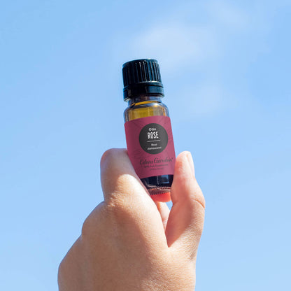 Edens Garden Rose-Otto Essential Oil – 100% Pure, Premium Grade, 10 ml