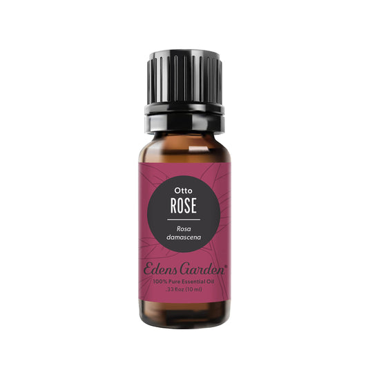 Edens Garden Rose-Otto Essential Oil – 100% Pure, Premium Grade, 10 ml